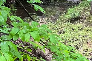 0 Darwin Rd, Gaffney, SC 29340 - Photo 10