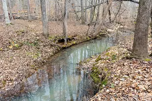 0 Darwin Rd, Gaffney, SC 29340 - Photo 18