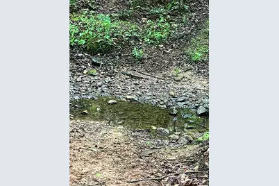 0 Darwin Road, Gaffney, SC 29340 - Photo 8