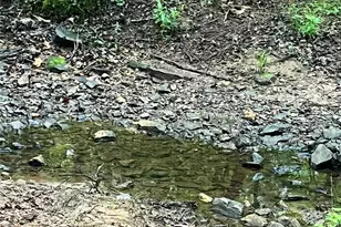 0 Darwin Rd, Gaffney, SC 29340 - Photo 8