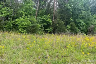 0 Darwin Rd, Gaffney, SC 29340 - Photo 2