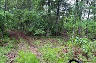 0 Darwin Rd, Gaffney, SC 29340 - Photo 14