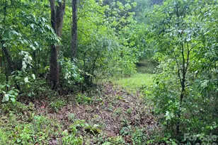 0 Darwin Rd, Gaffney, SC 29340 - Photo 12