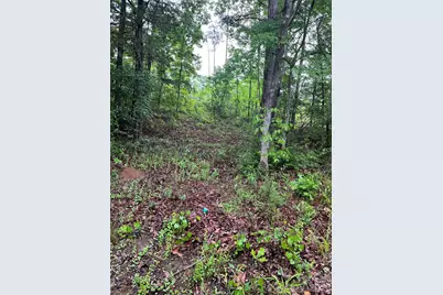 0 Darwin Road, Gaffney, SC 29340 - Photo 4