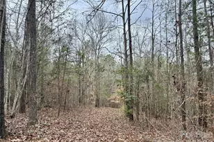 0 Darwin Rd, Gaffney, SC 29340 - Photo 20