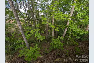 746 Ladino Lane, Clover, SC 29710 - Photo 38