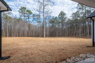 6335 Forney Hill Rd, Denver, NC 28037 - Photo 36