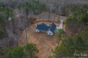 6335 Forney Hill Rd, Denver, NC 28037 - Photo 46