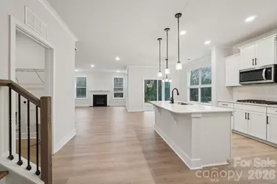 9107 Carver Avenue, Huntersville, NC 28078 - Photo 10