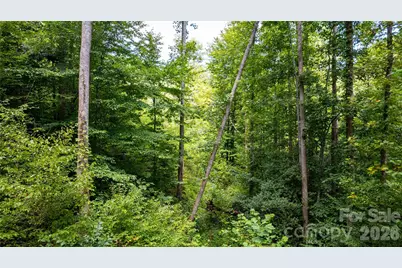 Tbd Collettsville Road #6, Collettsville, NC 28611 - Photo 6