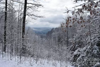 0000 Pinnacle Mountain Road #Lots 1,2,3,4, Zirconia, NC 28790 - Photo 4