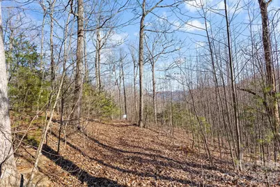 0000 Pinnacle Mountain Road #Lots 1,2,3,4, Zirconia, NC 28790 - Photo 18