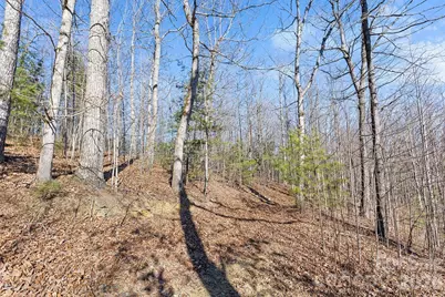 0000 Pinnacle Mountain Road #Lots 1,2,3,4, Zirconia, NC 28790 - Photo 22