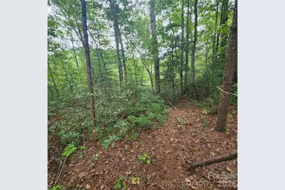 Lot 11 Waterside Drive, Lake Lure, NC 28746 - Photo 2