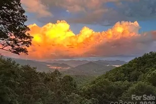 1028 Big Rockys Rd, Bryson City, NC 28713 - Photo 2