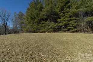 297 Banner Farm Rd, Mills River, NC 28759 - Photo 38