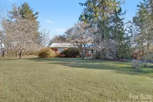 297 Banner Farm Rd, Mills River, NC 28759 - Photo 2