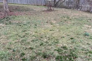 90 Tremont St, Asheville, NC 28806 - Photo 12