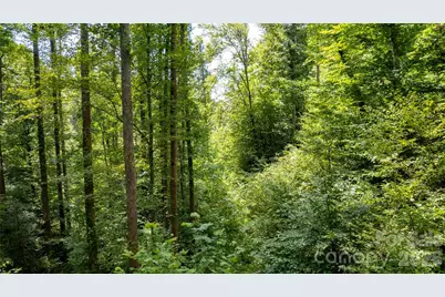 Tbd Collettsville Road #11, Collettsville, NC 28611 - Photo 6