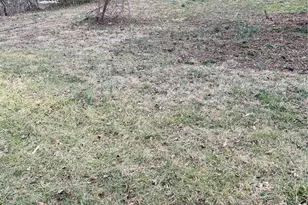 90 Tremont St, Asheville, NC 28806 - Photo 10