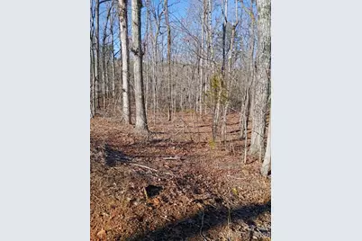 00 County Line Road S, Rutherfordton, NC 28139 - Photo 1