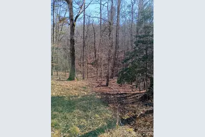 00 County Line Road S, Rutherfordton, NC 28139 - Photo 6