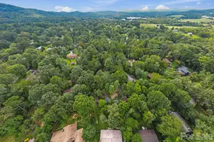 3017 Chestnut Tree Rd, Hendersonville, NC 28792 - Photo 30