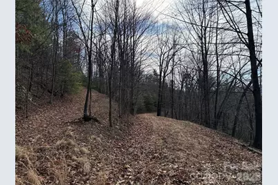 Tbd Maple Valley Lane #207 & 220, Purlear, NC 28665 - Photo 10