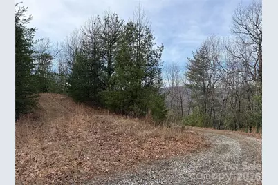 Tbd Maple Valley Lane #207 & 220, Purlear, NC 28665 - Photo 6