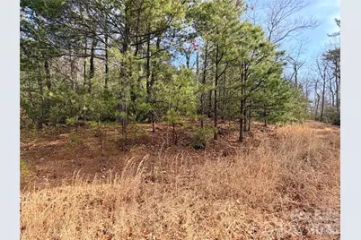 Tbd Maple Valley Lane #207 & 220, Purlear, NC 28665 - Photo 16