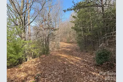 Tbd Maple Valley Lane #207 & 220, Purlear, NC 28665 - Photo 2