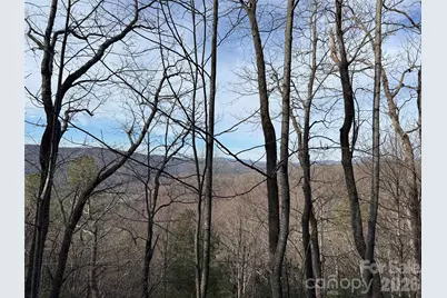 Tbd Maple Valley Lane #207 & 220, Purlear, NC 28665 - Photo 20