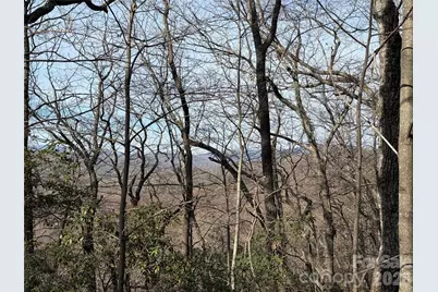 Tbd Maple Valley Lane #207 & 220, Purlear, NC 28665 - Photo 8