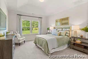 210 Stonewater Dr, Red Cross, NC 28129 - Photo 10