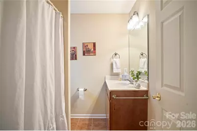 13 Stonebridge Drive, Asheville, NC 28805 - Photo 36