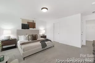 210 Stonewater Dr, Red Cross, NC 28129 - Photo 16