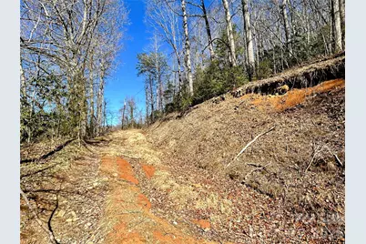 99999 Carpenters Son Lane, Hendersonville, NC 28792 - Photo 10