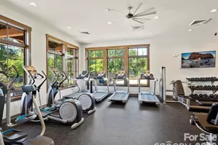 218 June Bug Ln, Fort Mill, SC 29708 - Photo 48