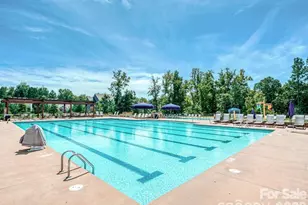 218 June Bug Ln, Fort Mill, SC 29708 - Photo 46