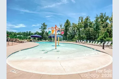 218 June Bug Lane, Fort Mill, SC 29708 - Photo 46