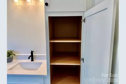 314 Gallimore Road, Brevard, NC 28712 - Photo 24