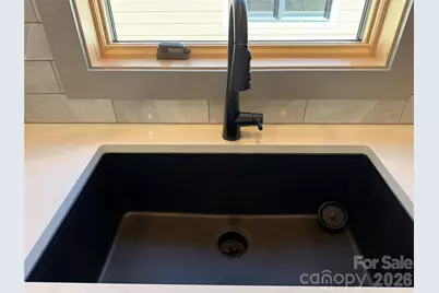 314 Gallimore Road, Brevard, NC 28712 - Photo 8