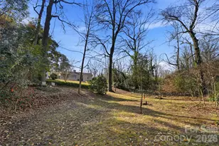 931 Hickory Nut St, Charlotte, NC 28205 - Photo 30