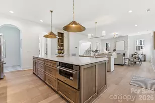 6528 Great Blue Path, Clover, SC 29710 - Photo 8