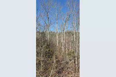 207 Receptive Drive #29, Glenville, NC 28736 - Photo 16