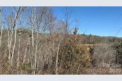 207 Receptive Drive #29, Glenville, NC 28736 - Photo 14