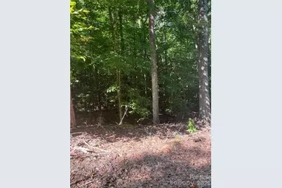 0 Lakeside Drive, Union, SC 29379 - Photo 4