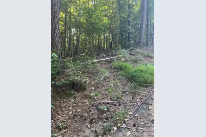 0 Lakeside Drive, Union, SC 29379 - Photo 2