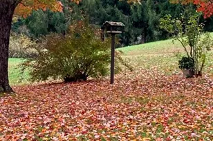 504 Greens Creek Rd, Sylva, NC 28779 - Photo 42