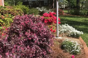 2016 Audrey Dr, Gastonia, NC 28054 - Photo 44